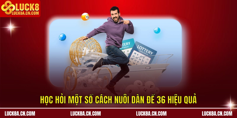 Học hỏi một số cách nuôi dàn đề 36 hiệu quả