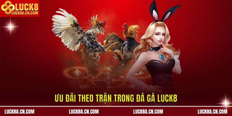Ưu đãi theo trận trong Đá Gà LUCK8