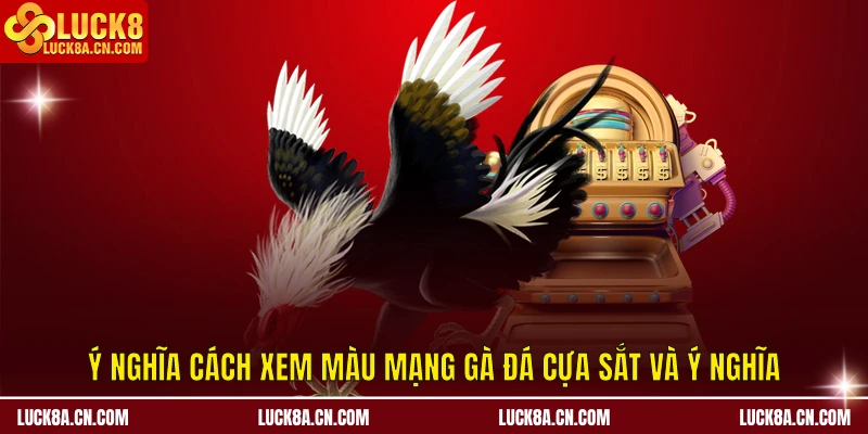 Ý nghĩa cách xem màu mạng gà đá cựa sắt